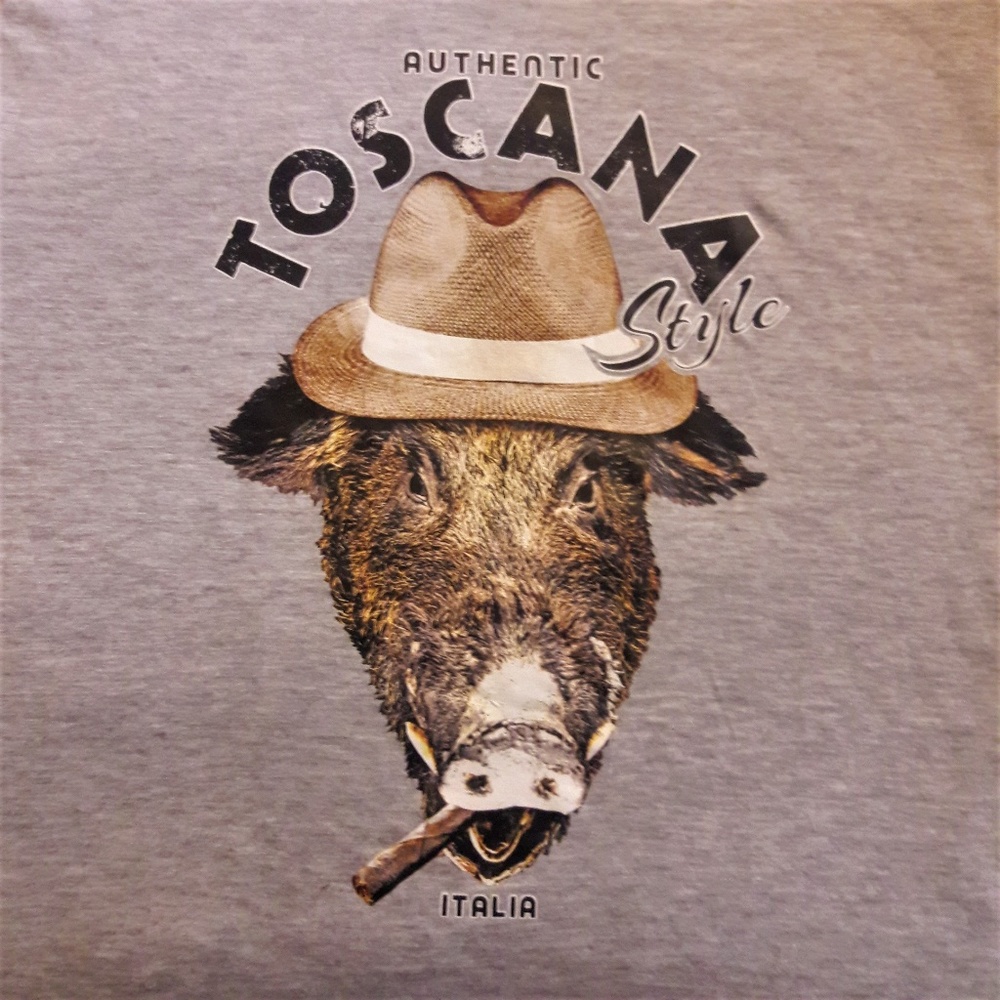 Authentic Toscana Style Italia Tee T Shirt Gray